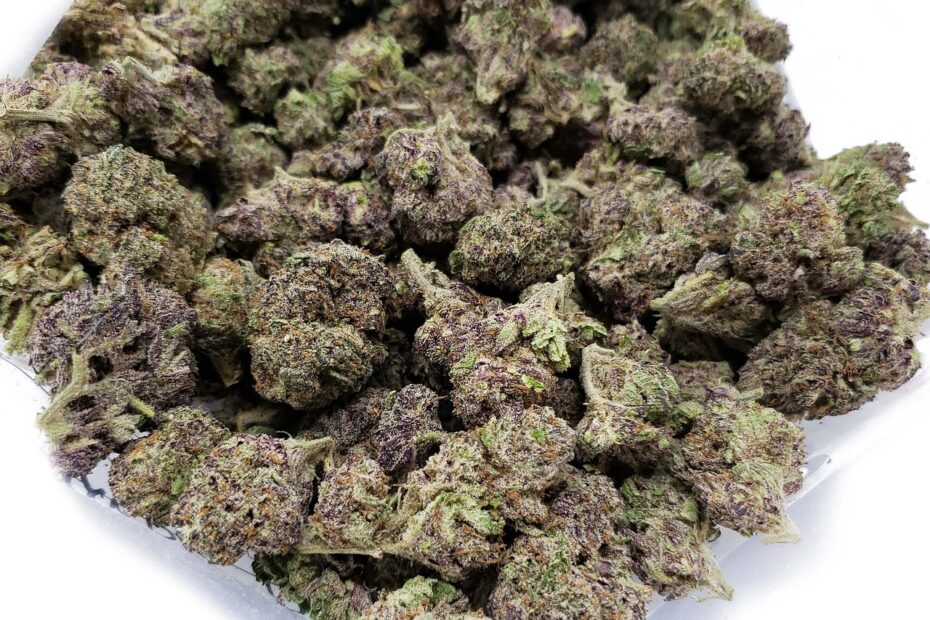 Cannabis Viola